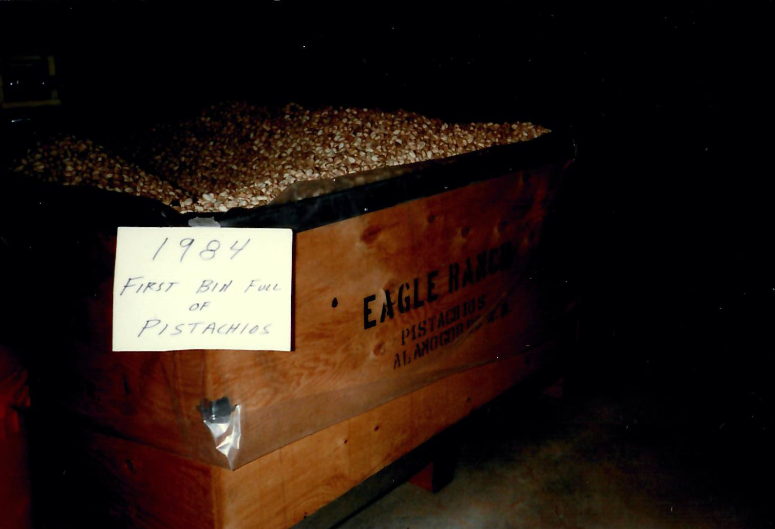 1984 First Bin