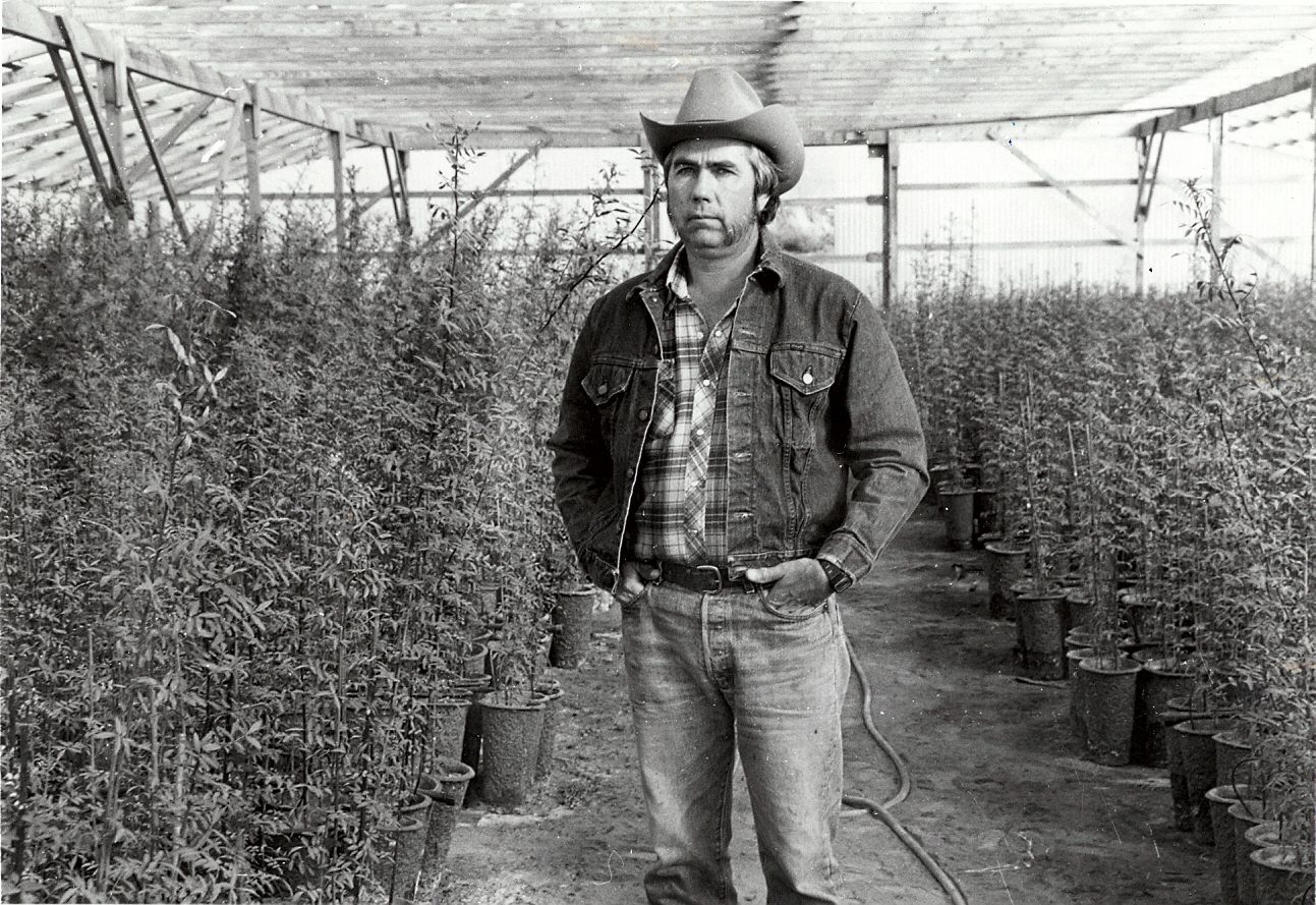 Founder and farmer George Schweers with young pistachio trees, sometime in the 1970s.